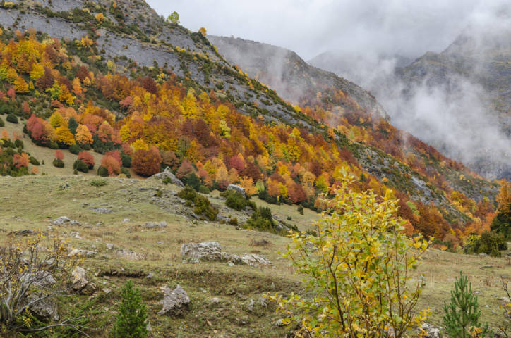 Huesca - valle de Otal 11.jpg